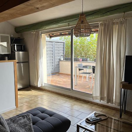 Duplex Lumineux Sur Gde Terrasse, Balneo Double, Parking Prive, Clim, Local Velos 索尔古河畔的恩特莱奎斯 外观 照片
