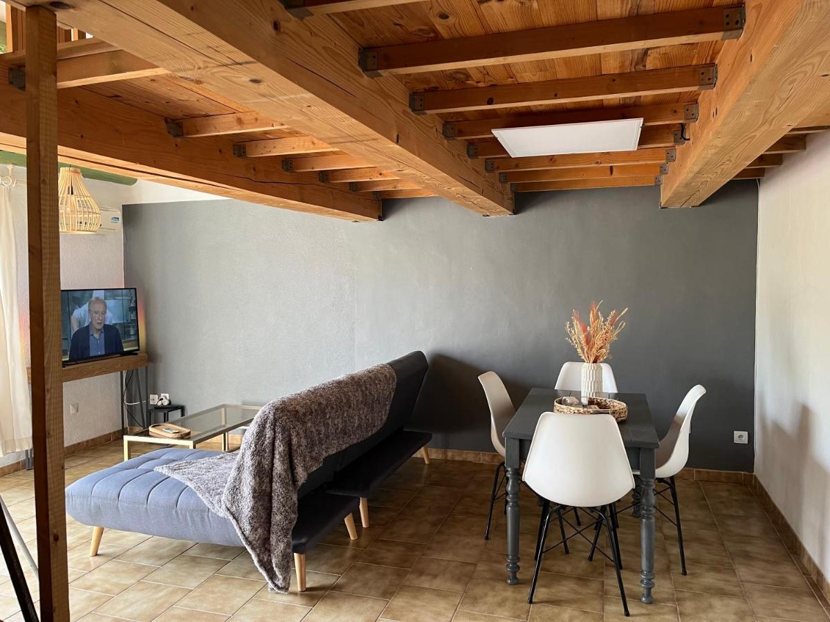 Duplex Lumineux Sur Gde Terrasse, Balneo Double, Parking Prive, Clim, Local Velos 索尔古河畔的恩特莱奎斯 外观 照片
