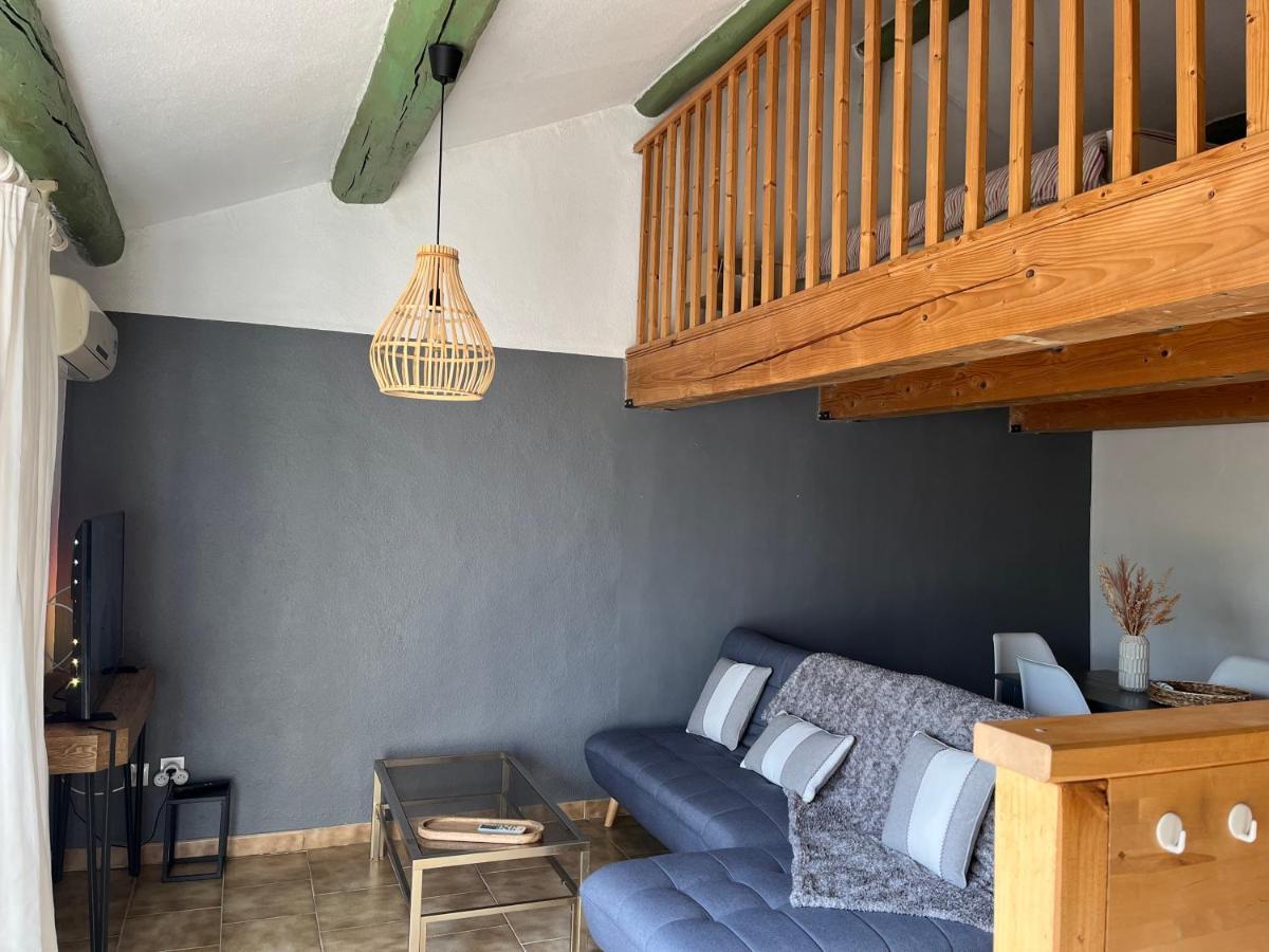 Duplex Lumineux Sur Gde Terrasse, Balneo Double, Parking Prive, Clim, Local Velos 索尔古河畔的恩特莱奎斯 外观 照片