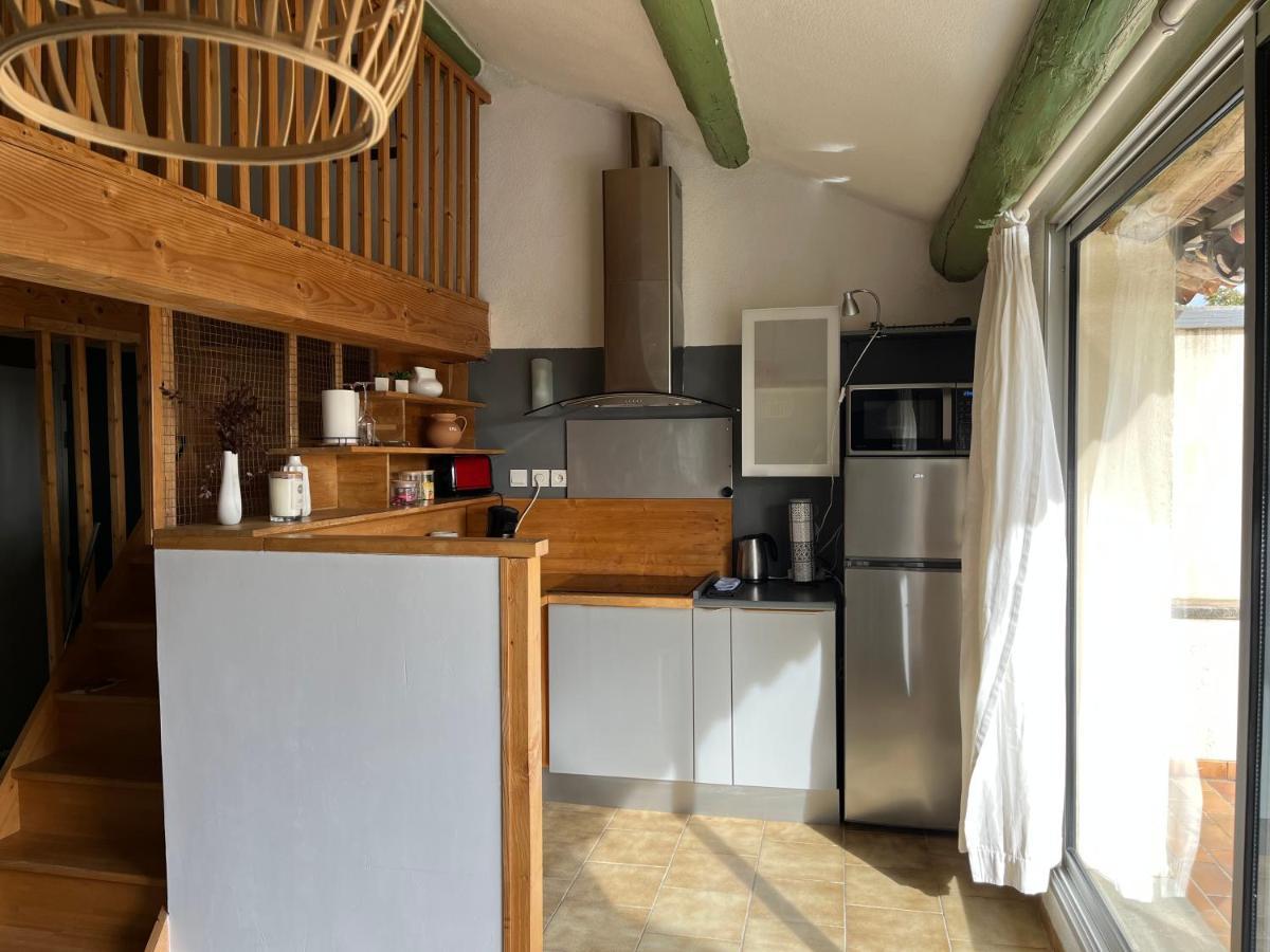 Duplex Lumineux Sur Gde Terrasse, Balneo Double, Parking Prive, Clim, Local Velos 索尔古河畔的恩特莱奎斯 外观 照片